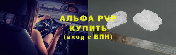 дживик Вяземский