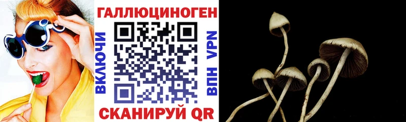 нарко площадка состав  Лермонтов  Галлюциногенные грибы MAGIC MUSHROOMS 